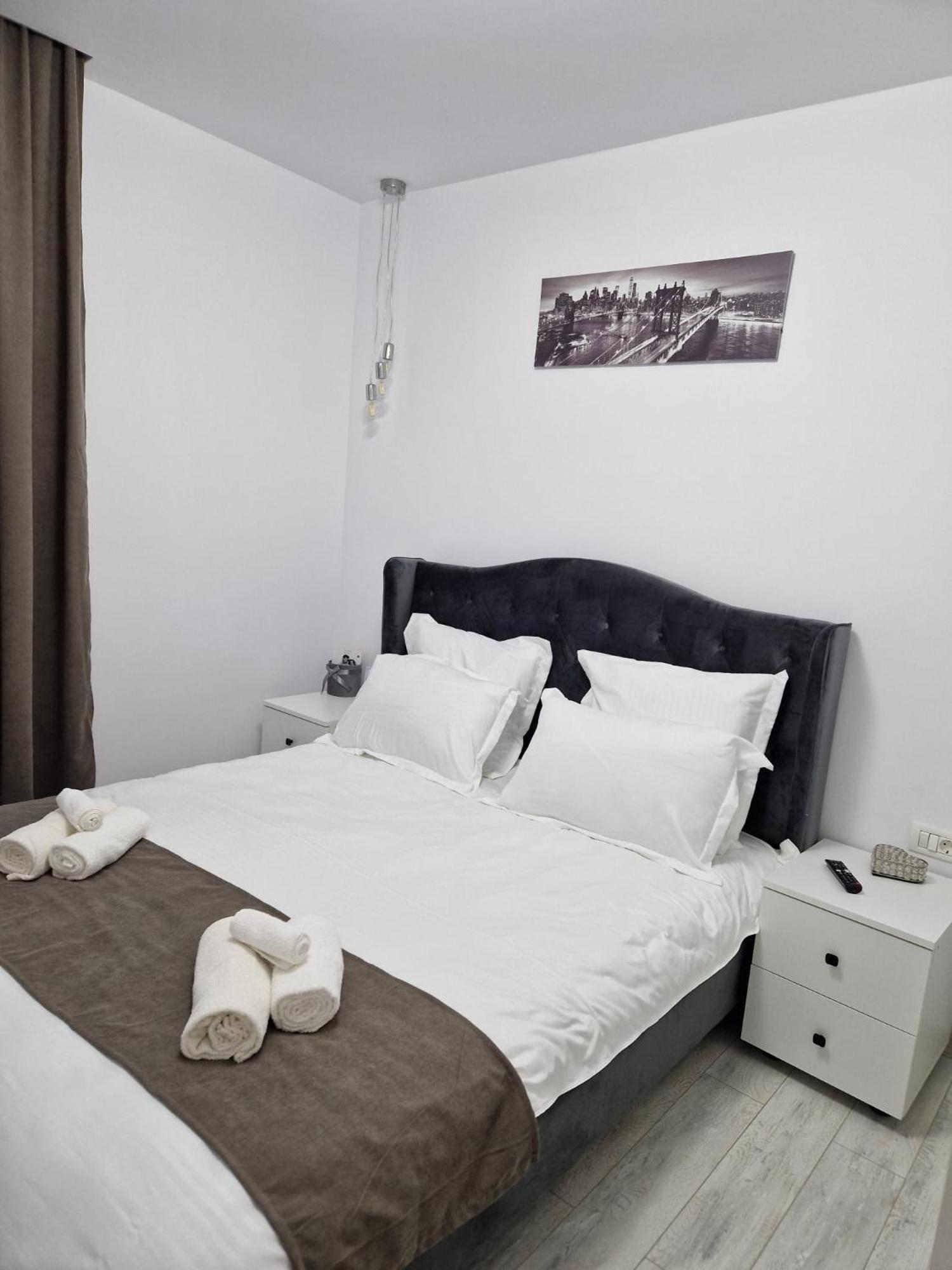 Tag Apartament Timisoara Bagian luar foto