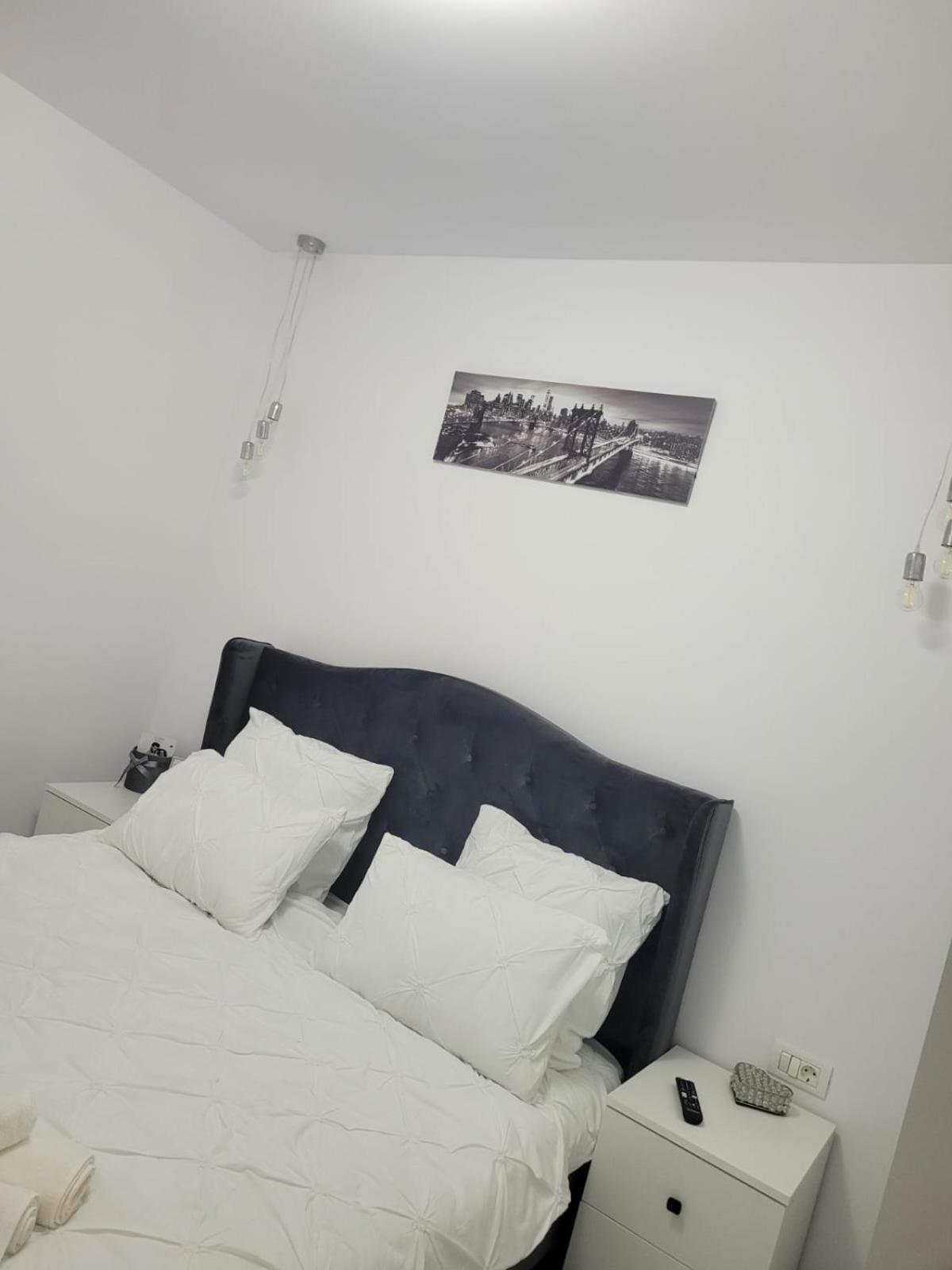 Tag Apartament Timisoara Bagian luar foto